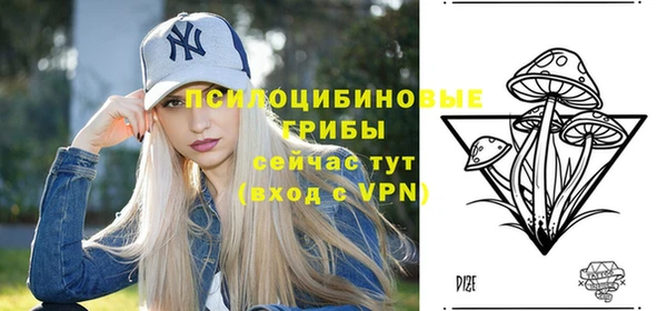 стафф Аркадак
